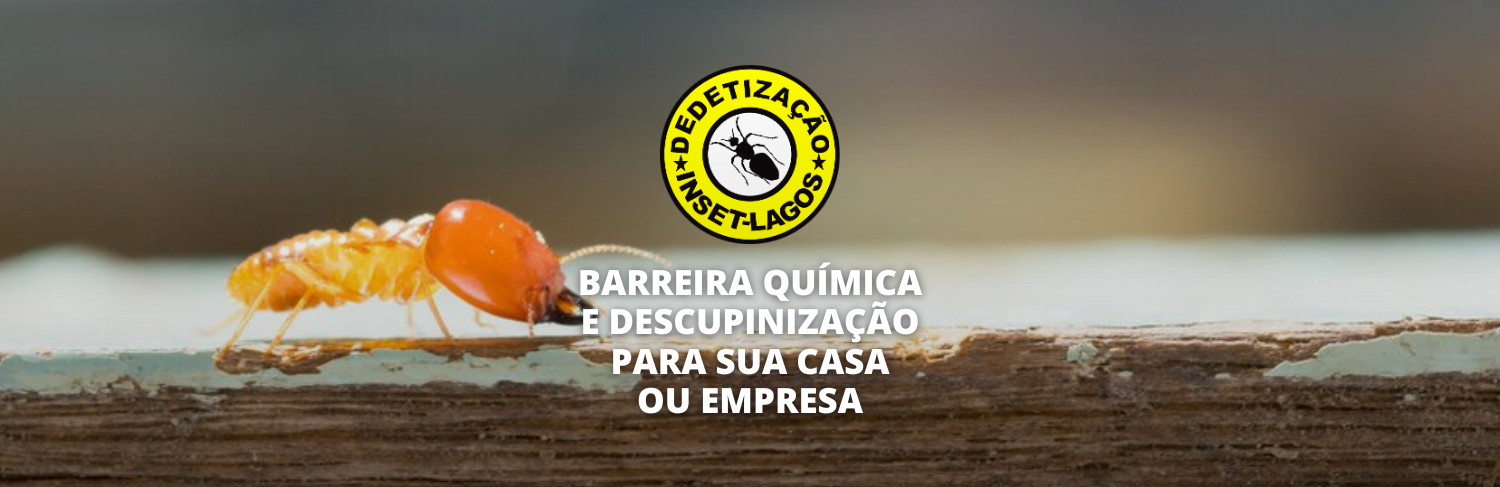 Equipe Inset-Lagos em ação